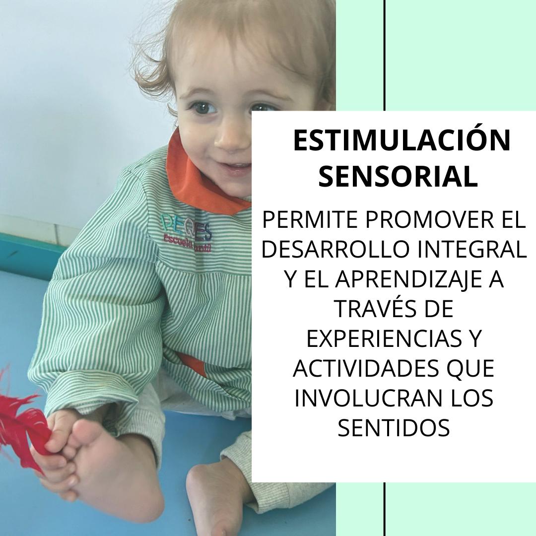 La importancia de la estimulacin sensorial