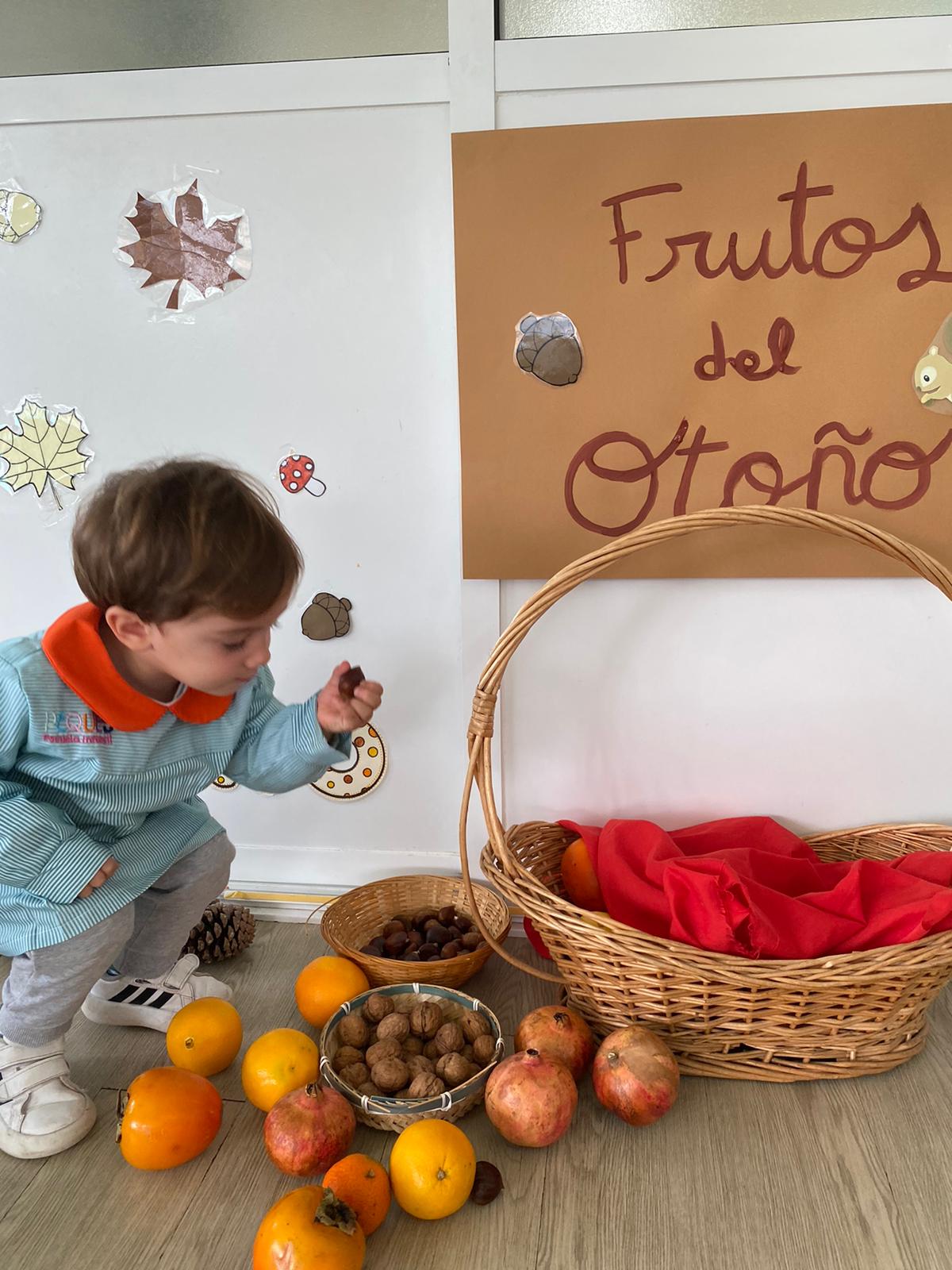 frutos del otoo